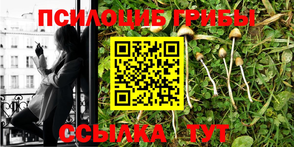 Псилоцибиновые грибы Magic Shrooms Дербент